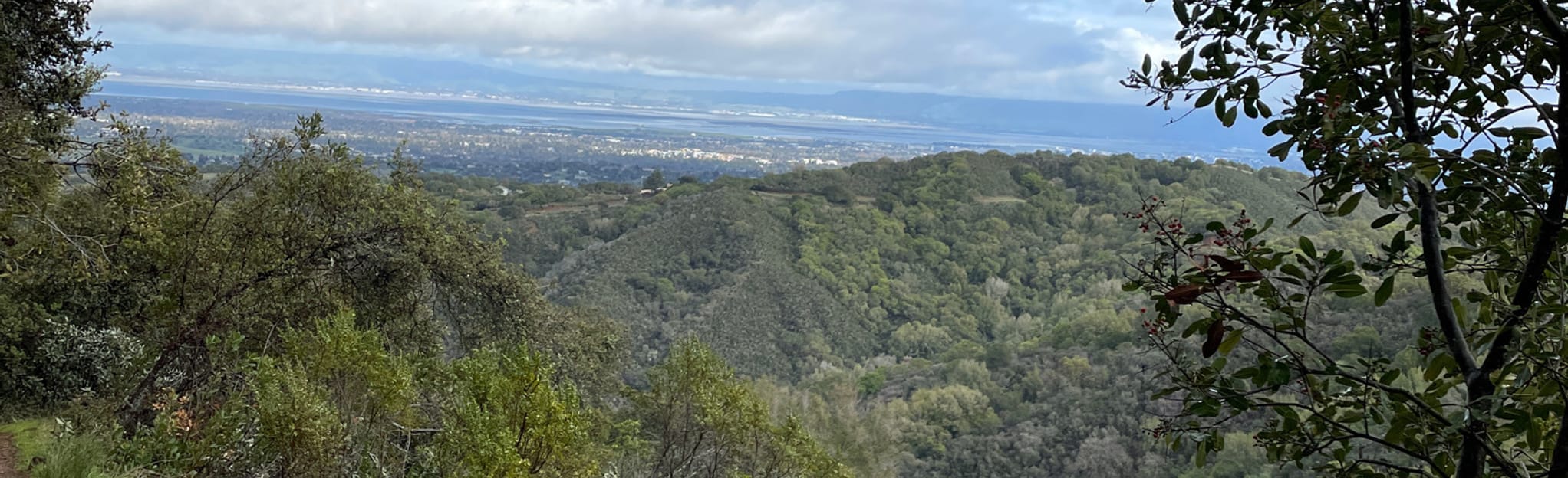 Los Trancos, Trappers Fire Road and Steep Hollow Loop California