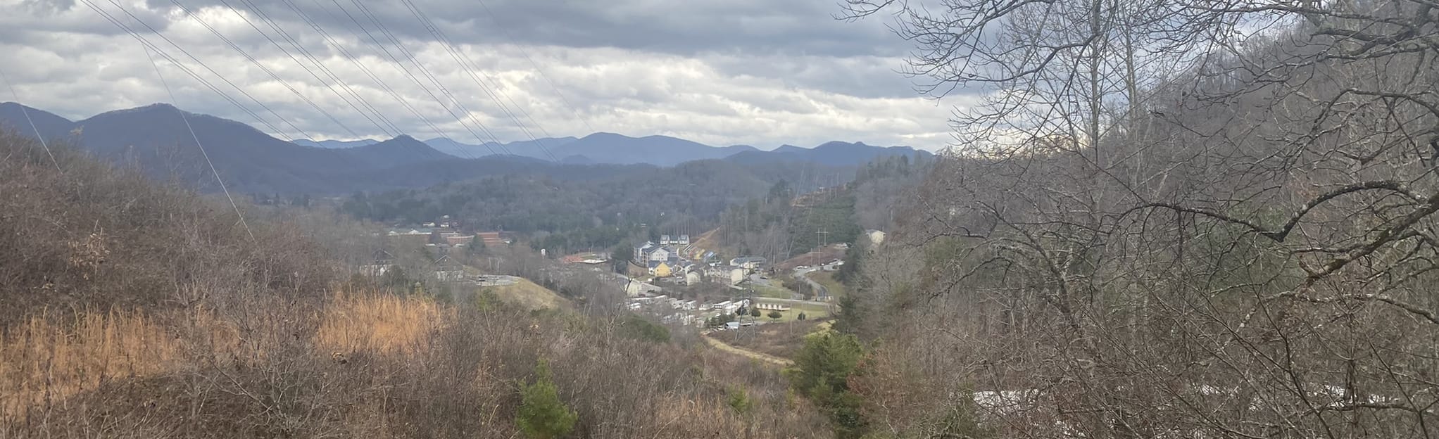 Lower and Upper Long Branch, Little Savannah, and Gribble Gap Loop
