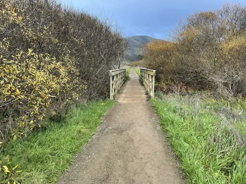 10 Best Trails and Hikes in Sausalito | AllTrails