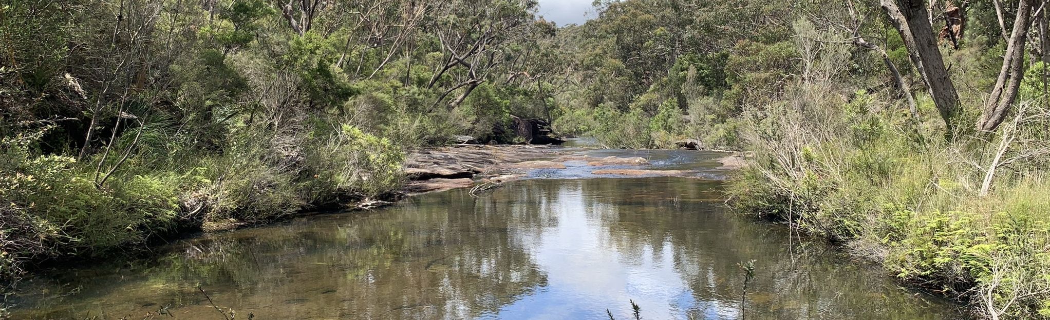 Kangaroo Creek Track, New South Wales, Australia - 27 Reviews, Map ...