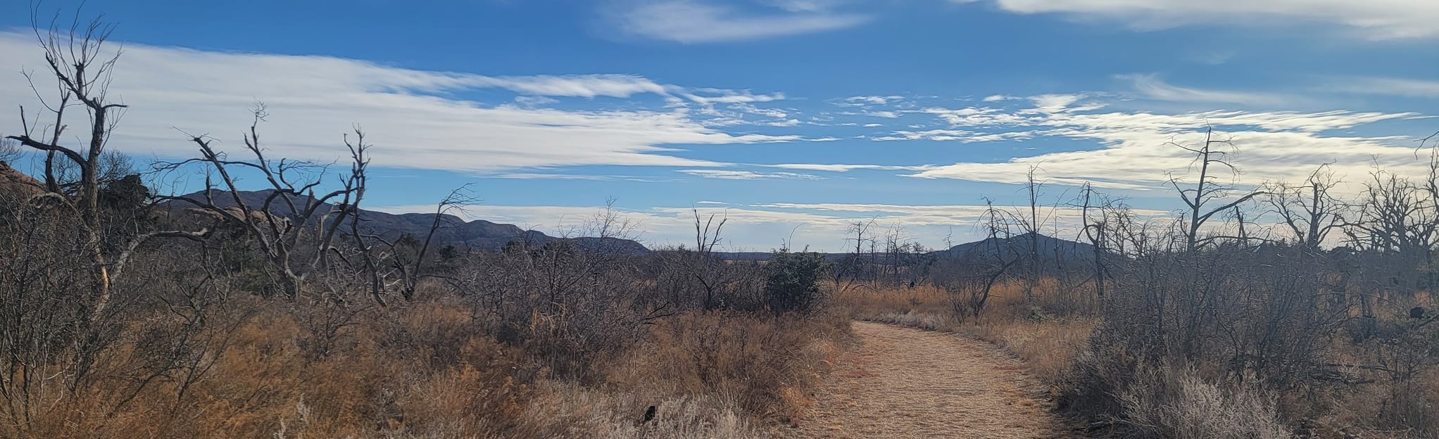 Cedar Valley Loop 57 Reviews, Map Oklahoma AllTrails