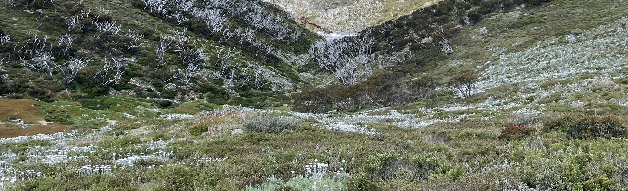 Red Robin Mine via Mount Loch, Victoria, Australia - 10 Reviews, Map ...