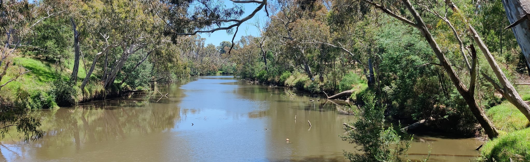 Yarra Bend Park Loop 1.114 Fotos Vitória, Austrália AllTrails