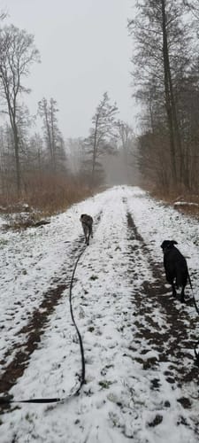 Auf Buggenhagens Spuren – Rund um den Schlosssee