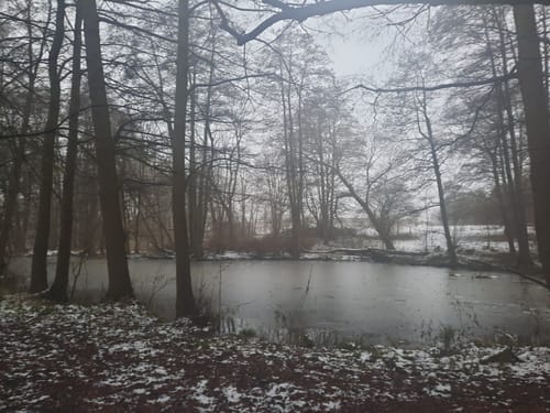 Auf Buggenhagens Spuren – Rund um den Schlosssee