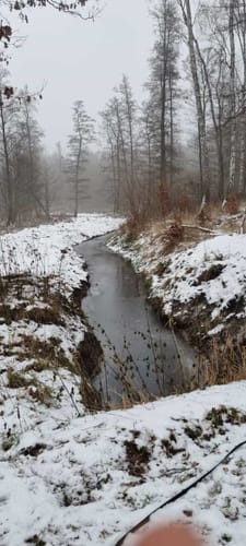 Auf Buggenhagens Spuren – Rund um den Schlosssee