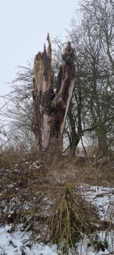 Auf Buggenhagens Spuren – Rund um den Schlosssee