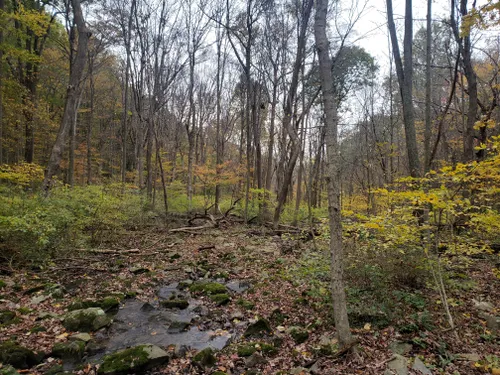 Best Easy Trails In Catoctin Mountain Park Alltrails