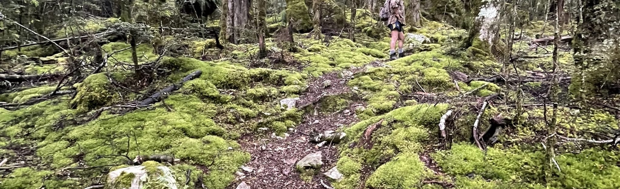 North Temple, Gunsight Pass, and South Temple Canterbury, New Zealand