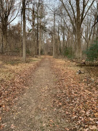 10 Best Trails and Hikes in Annapolis | AllTrails