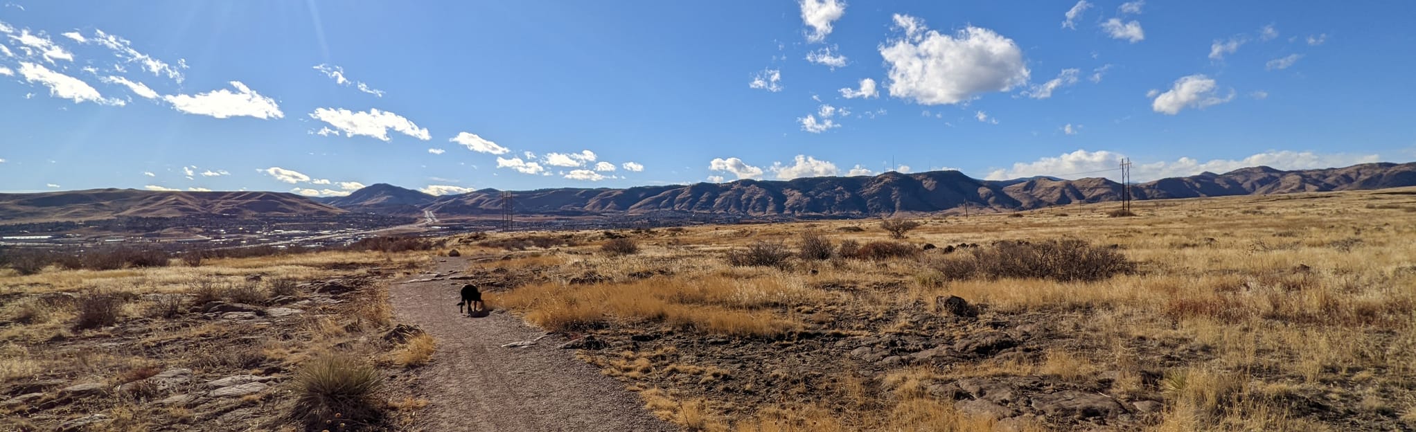 Tertiary, Basalt Cap, Ancient Palm, and Welch Ditch Loop 500 foto's