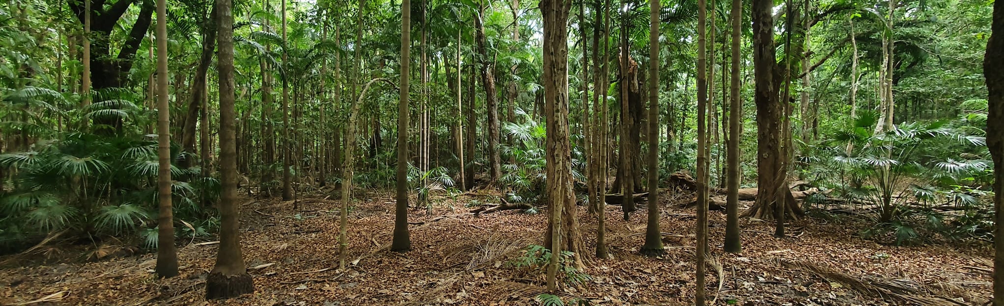 Fogg Dam Monsoon Walk, Northern Territory, Australia - 17 Reviews, Map ...