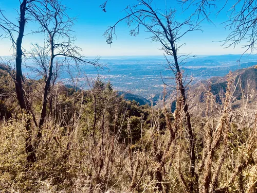 10 Best Trails and Hikes in Sierra Madre | AllTrails