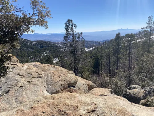Box camp trail best sale