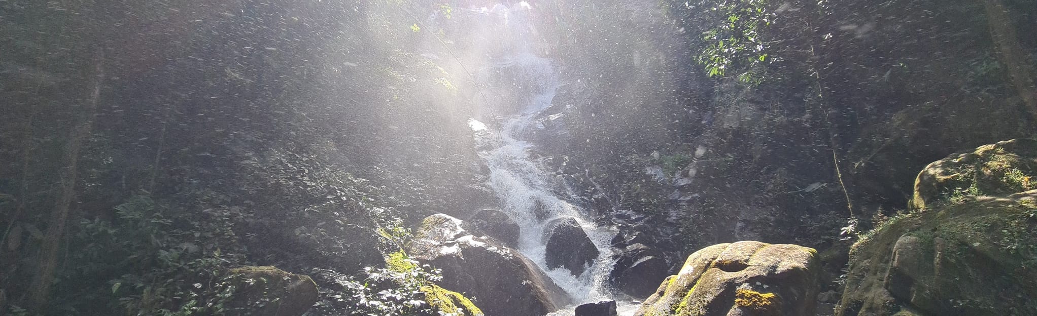 Huay Kaew Waterfall Extended Loop: 18 Reviews, Map - Chiang Rai ...