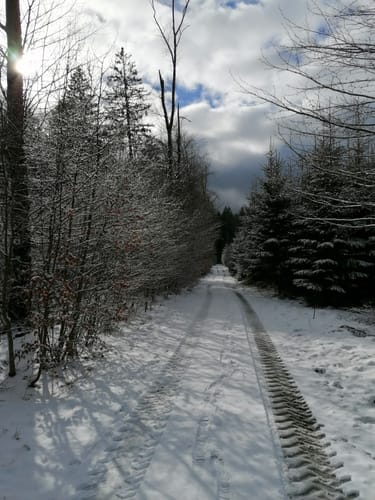Bergtour Höchsten (Premiumwanderweg)