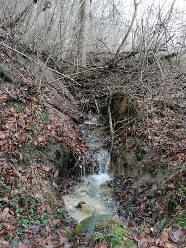 Bergtour Höchsten (Premiumwanderweg)