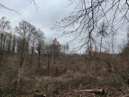 Bergbauwanderweg