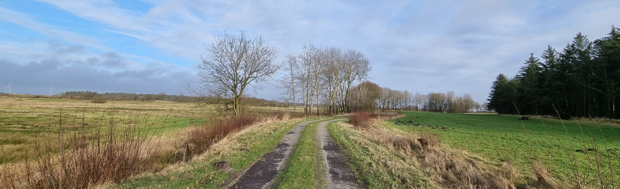 Goldelund Lütjenholm Heidedunen 4 Reviews, Map SchleswigHolstein