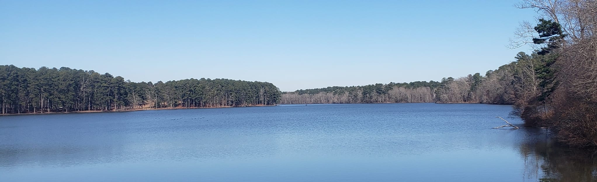 Lake Lowndes Loop Trail, Mississippi 95 Reviews, Map AllTrails