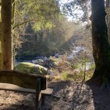 The Hermitage and Pine Cone Point, Perth and Kinross, Scotland