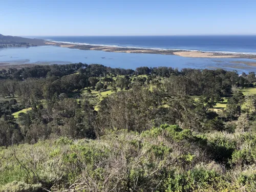 Morro bay 2025 state park hiking