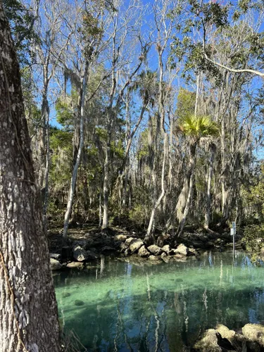 Hiking Crystal River – Florida Hikes