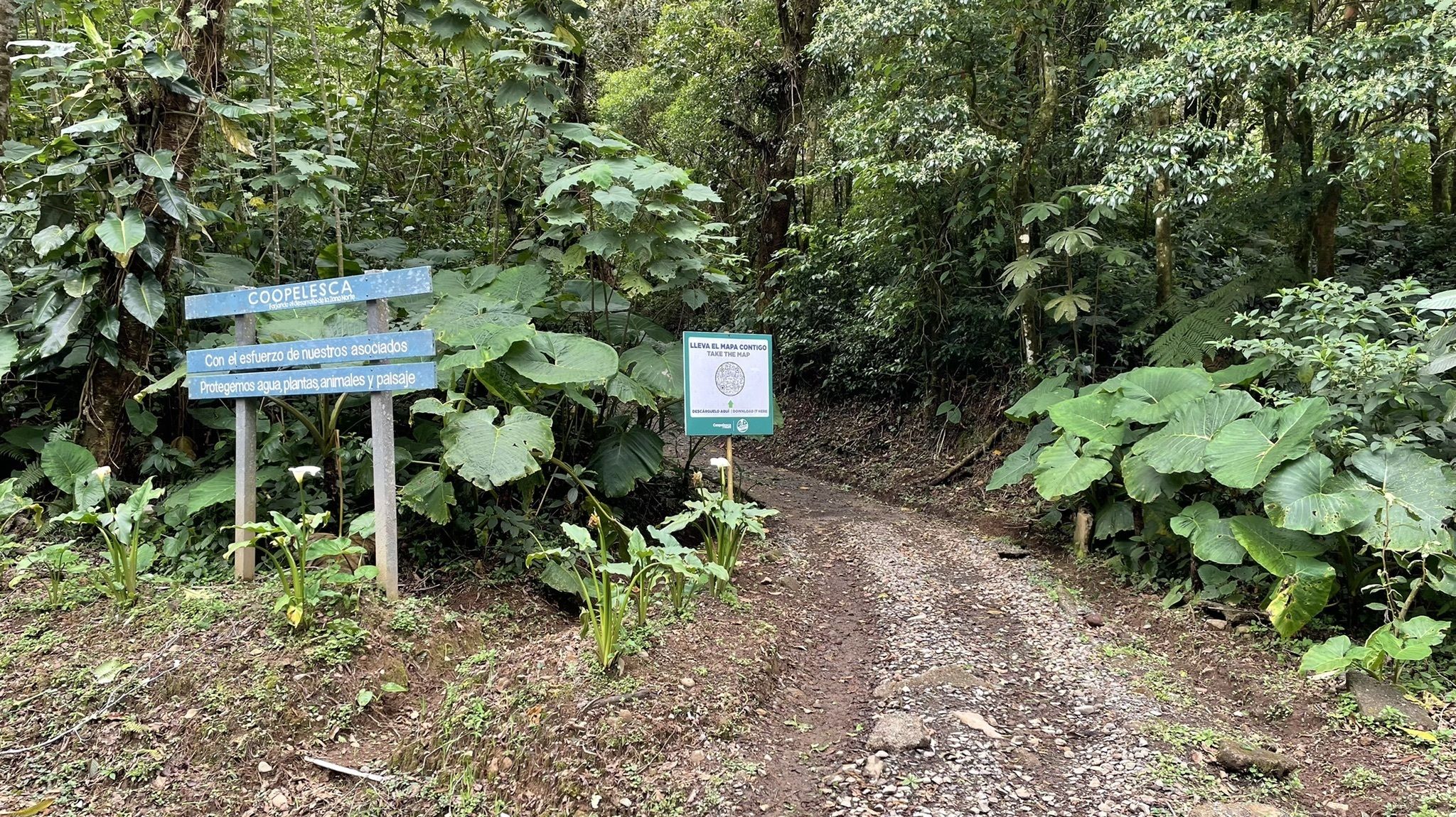 Photos of Pozo Verde - Alajuela, Costa Rica | AllTrails