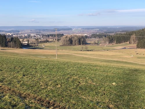 Waldcafe nach Hochemmingen