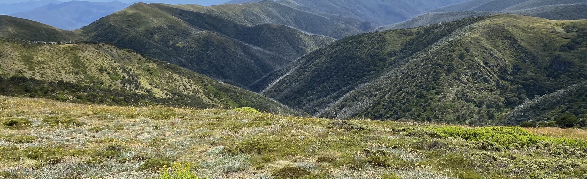 7 Peaks Ride: Mount Hotham: 9 Reviews, Map - Victoria, Australia ...