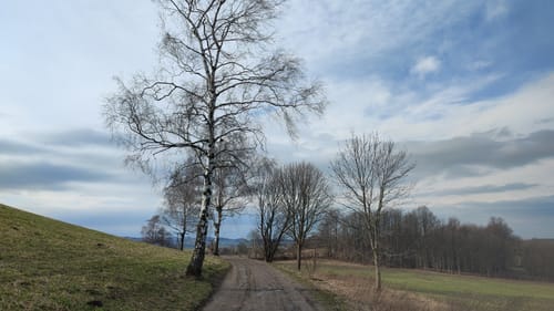 Grünau Runde