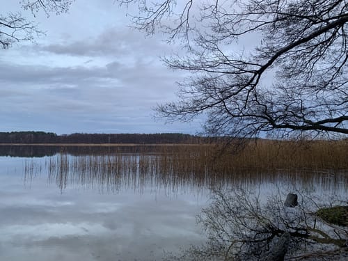 Runde am Lübbesee