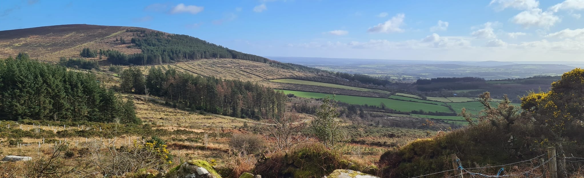 Mount Leinster, County Carlow, Ireland 225 Reviews, Map AllTrails