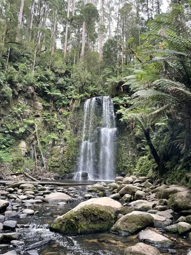 Overnight shop hikes otways