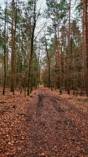 Weg der Pfarreiengemeinschaft