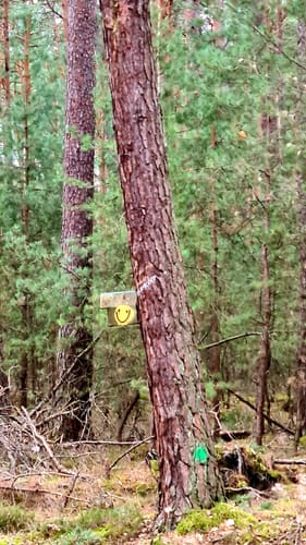 Naturparkweg Hase Obernau