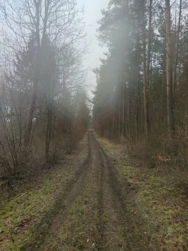 Jungfernsprung und Schwedenschanze