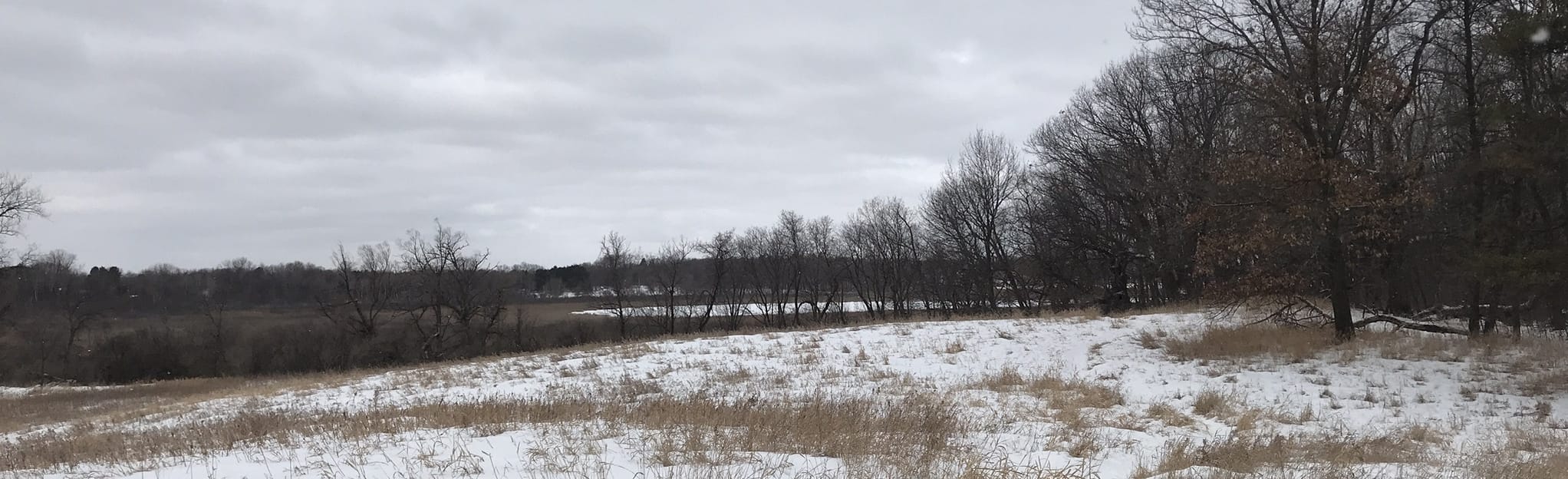 Bald Eagle Lake Overlook: 11 Reviews, Map - Minnesota | AllTrails