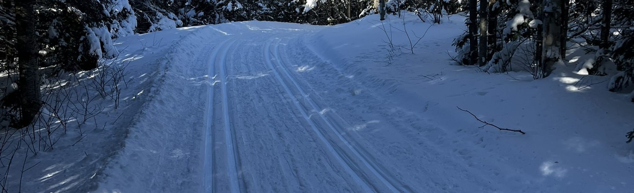 Matane Cross-Country Trails: 10 Reviews, Map - Quebec, Canada | AllTrails
