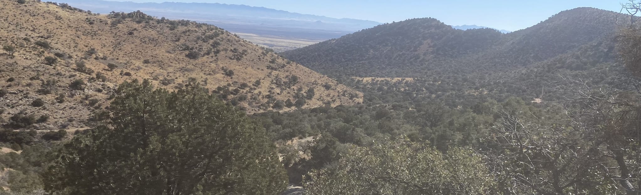 Middlemarch Road (Forest Service Road 345), Arizona 24 Reviews, Map