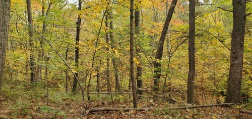 Best Hikes and Trails in Sawmill Brook Conservation Area | AllTrails