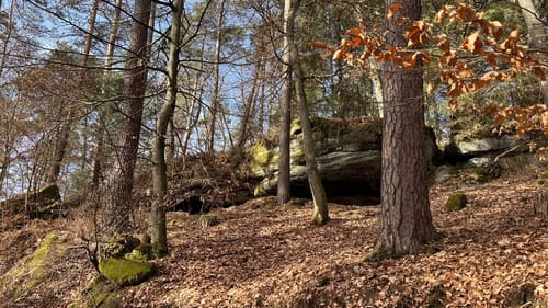 Waldfischbach Panoramarunde