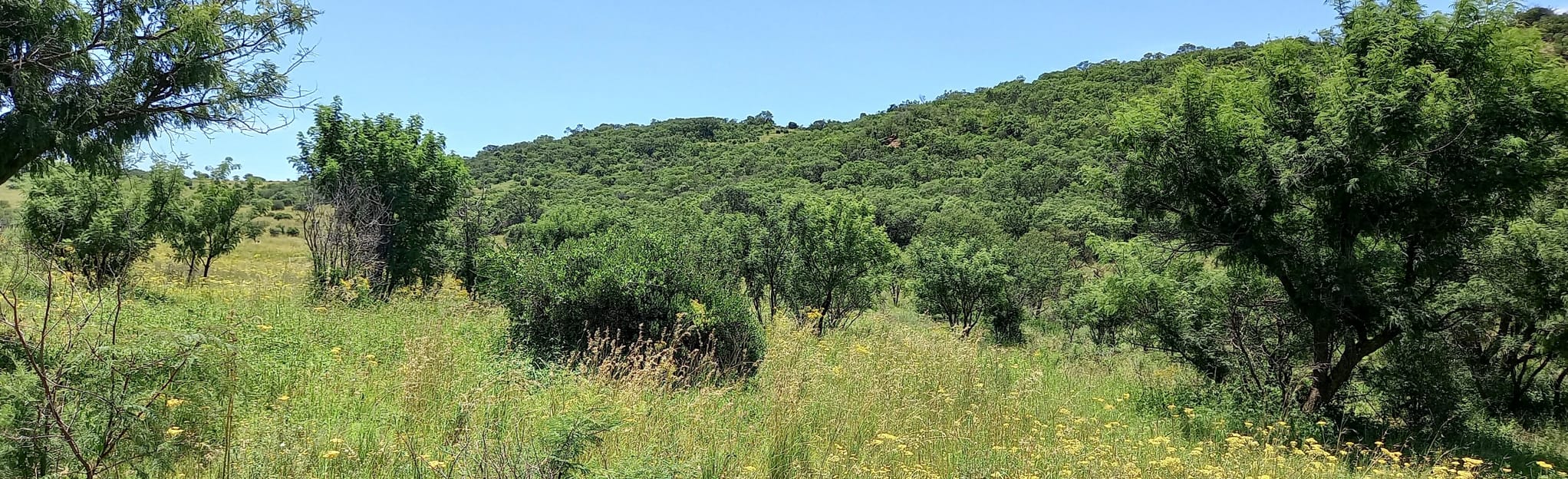 Thaba Trails Service Track, Gauteng, South Africa 3 Reviews, Map