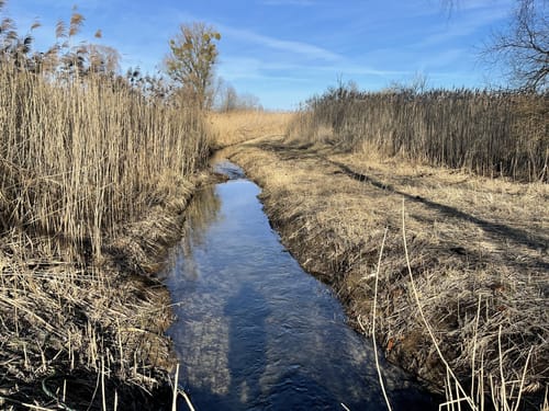 Rundweg: Klostersee und Kietzer See