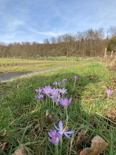 Gründauer Wanderweg Lieblos - Fuchs