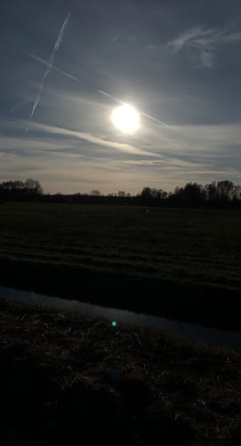 Natur-Erlebnispfad am Ilkerbruch