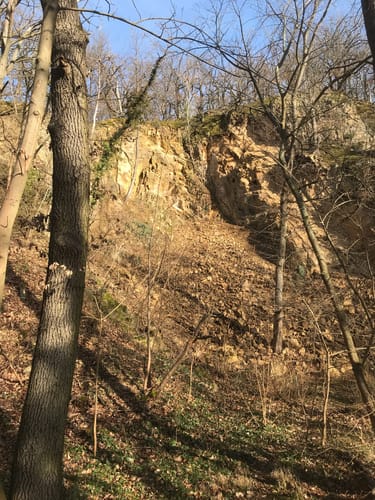 Burgensteig Bergstraße Etappe 2: Seeheim-Jugenheim - Bensheim-Auerbach