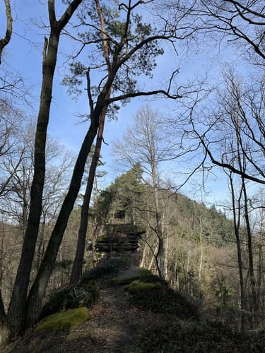Gimbelhof - Nothweiler