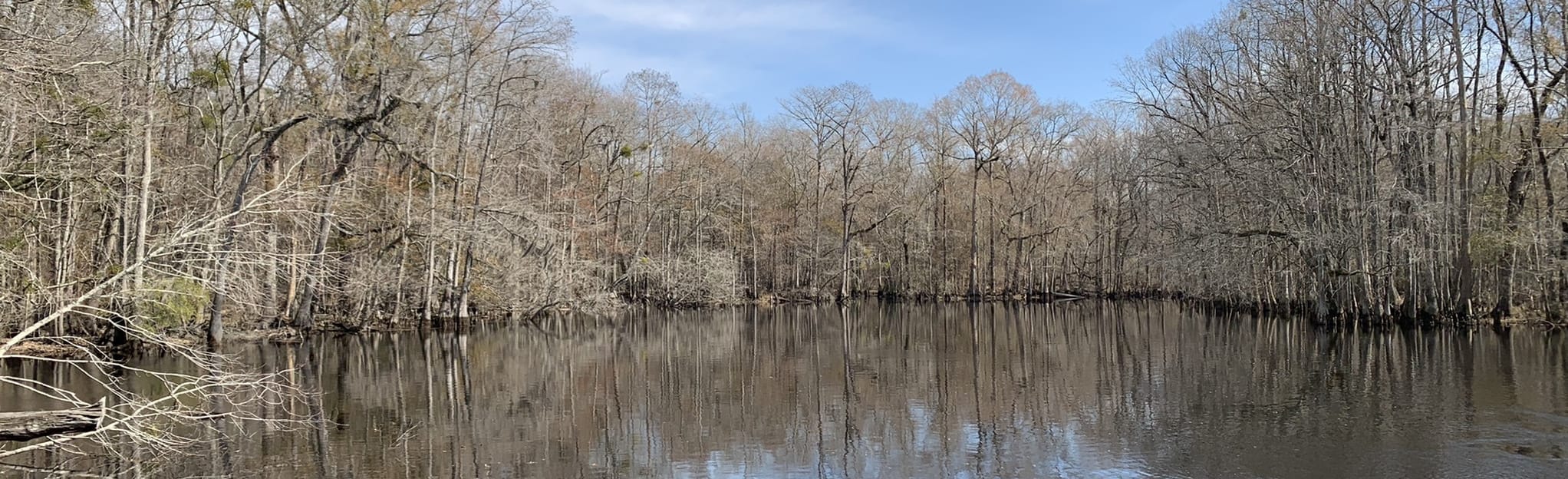 Lumber River State Park Trail, North Carolina 76 Reviews, Map AllTrails