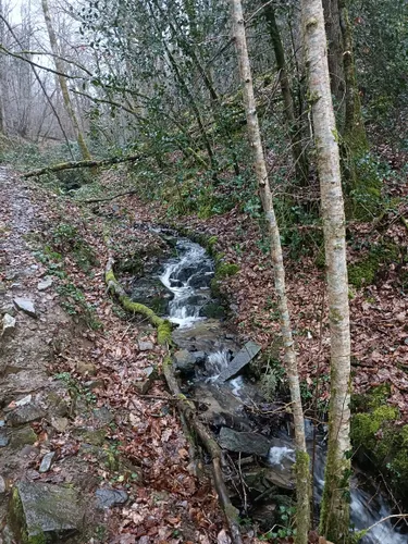 2023 Best Trails, Walks, and Paths in ChérencéleRoussel AllTrails